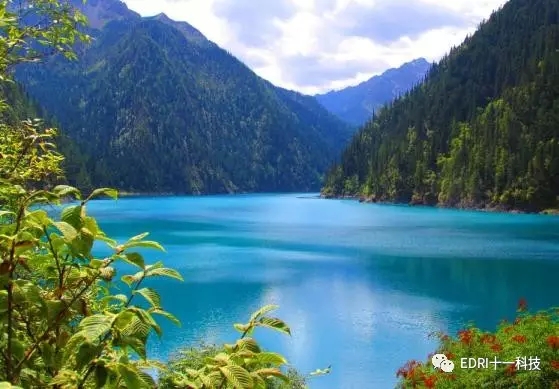 1496474691389295.jpg 3-无.webp.jpg