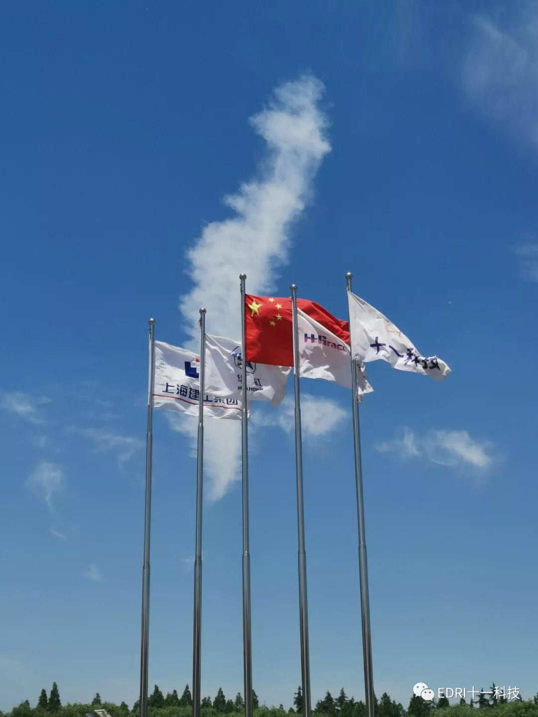 1559529290745771.jpg 8.jpg